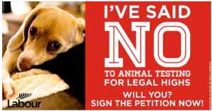 I've said no to animal testing